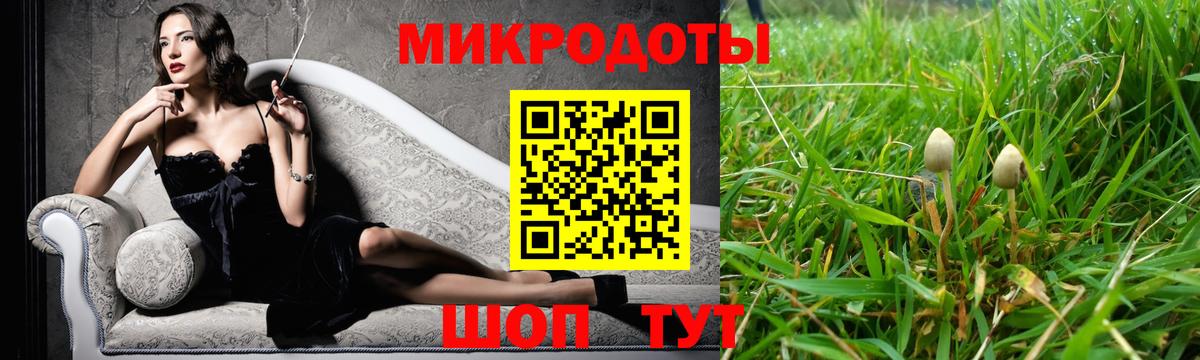 Галлюциногенные грибы Psilocybine cubensis  Вход с VPN  Галлюциногенные грибы прущие грибы  Ленинск-Кузнецкий 