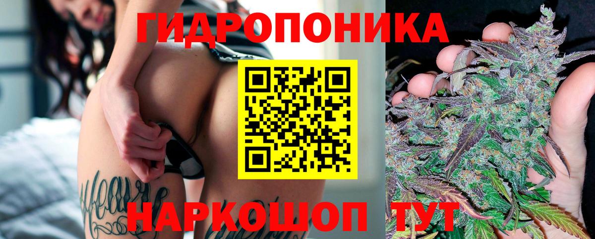 Шишки марихуана план Ленинск-Кузнецкий